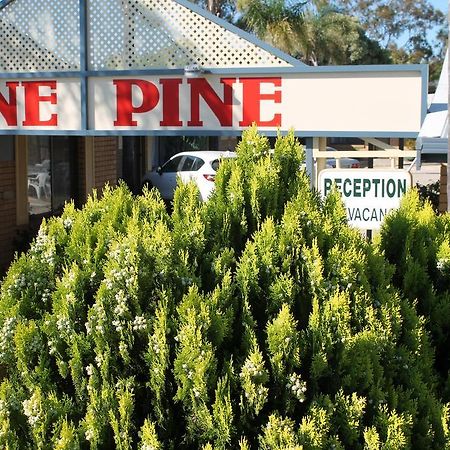 Lone Pine Motel Corowa Exterior foto