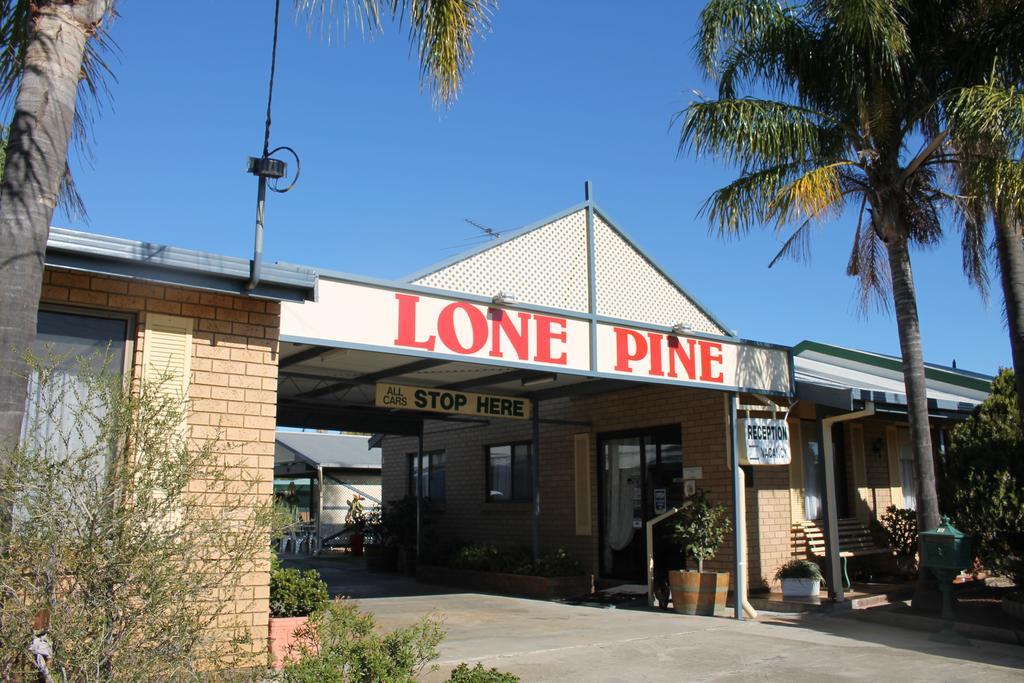 Lone Pine Motel Corowa Exterior foto