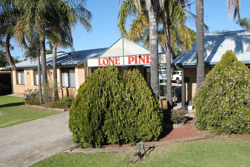 Lone Pine Motel Corowa Exterior foto