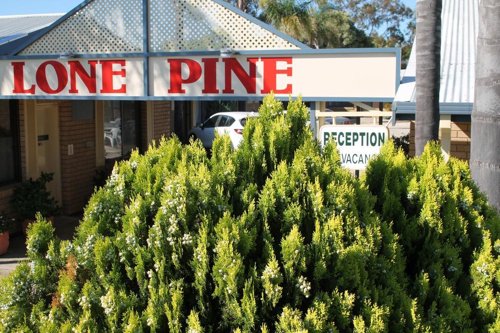 Lone Pine Motel Corowa Exterior foto