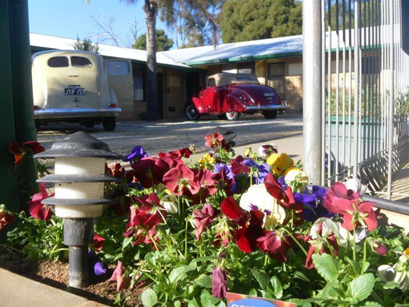 Lone Pine Motel Corowa Exterior foto